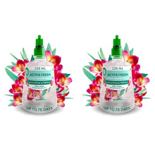Air Wick AerosolFree Automatic Air Freshener Spray Eucalyptus Refills 24x7