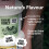 Black Bee Honey - Pure Spring British 4