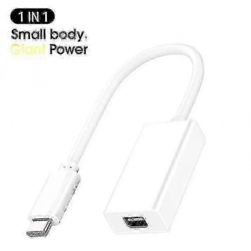 Thunderbolt 2 to 3 Converter Cable for Apple Laptops