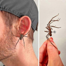 Realistic Spider Earrings for Men Women, Gothic Party Jewelry Gift