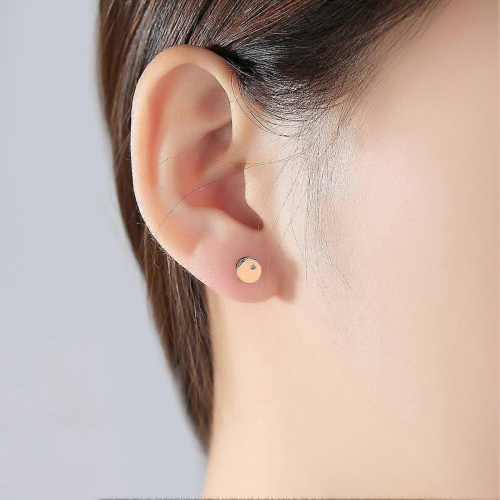 S925 Sterling Silver Single Zirconium Stud Earrings 2
