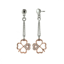 INANNA ADY001 Silver & Zirconium Oxide Bicolor EarringsMoney