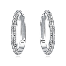 Orstarry 925 Sterling Silver Crystal Drop Earrings for Women, Fashion Party Jewelry GiftOTE4008