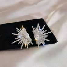 2023 New Silver Big Plant Luxury Stud Earrings with Zircon Stone Women's Fashion Jewelry Korean GiftSilver-J1