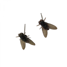 Realistic Fly Stud Earrings for Women, Halloween Prank Jewelry Gift, YellowBlack
