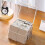 Postcard Sticker Storage Box Rectangular Translucent Packaging Box Dust-Proof Durable Jewelry Storage Box Card Organizer 6