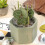 Chicken Wire Mesh, Floral Hexagonal Fencing for Ga 11