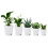 5 Pacotes de Vasos AutoirrigáVeis de 5 Polegadas para Plantas de Interior, Vasos de Flores com Furos de Drenagem e Corda de Pavio Branco 2