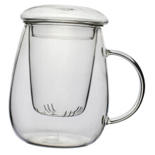 Glass Tea Cup with Infuser, Heat Resistant Borosilicate, Wide Mouth for Home and Office Brewing