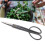 Bonsaischere SK Steel 210 mm Gartenschere mit 10