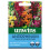 Unwins Antirrhinum Giant Rust Resistant 1