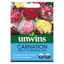 Carnation Early Flowering Mix