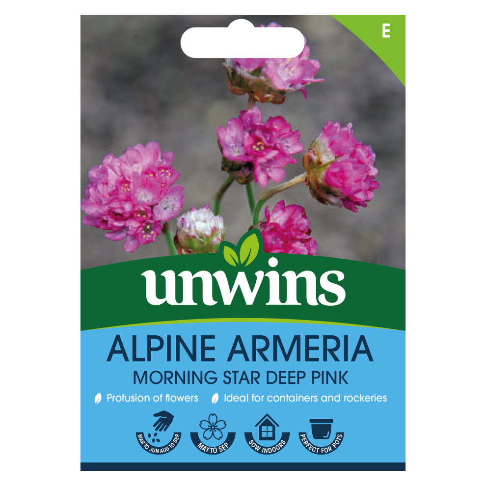 Unwins Alpine Armeria Morning Star Deep Pink