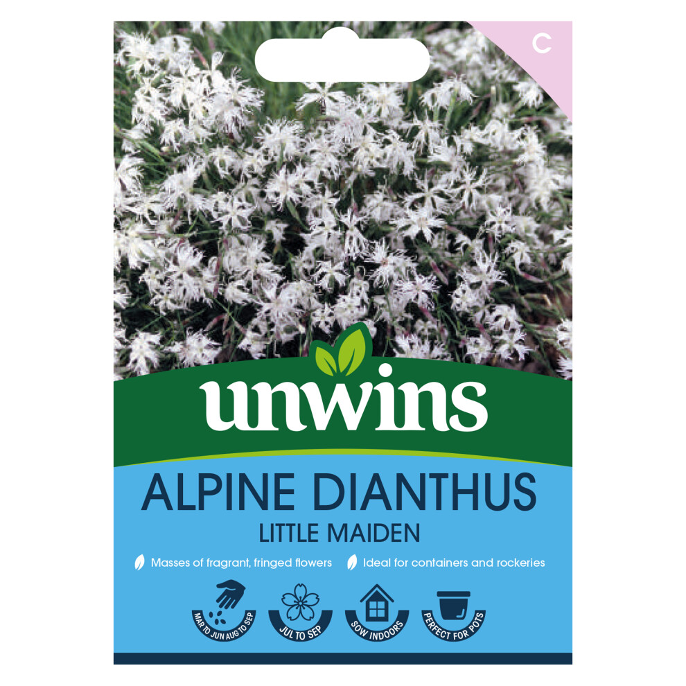 Unwins Alpine Dianthus Little Maiden
