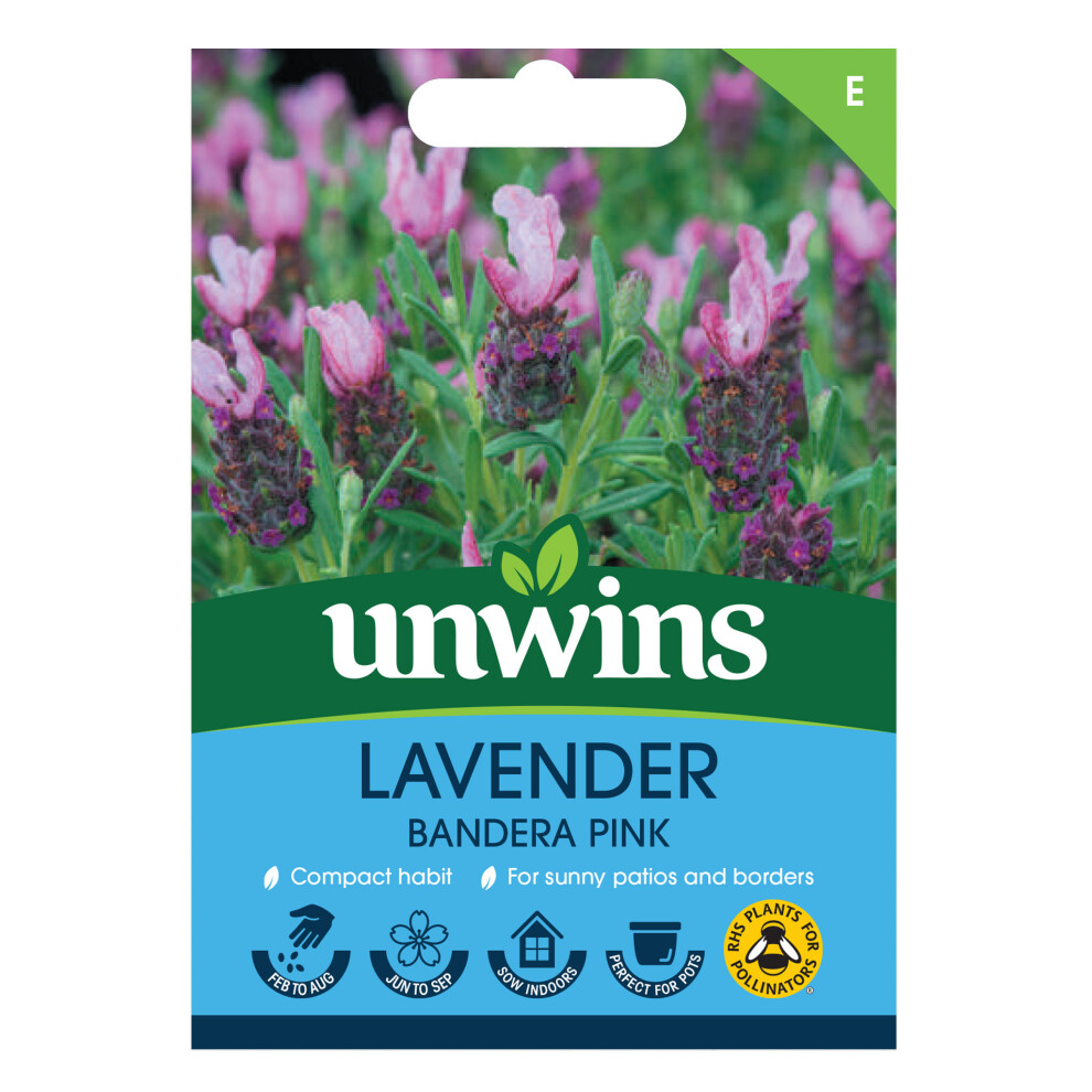 Unwins Bandera Deep Lavender/Pink