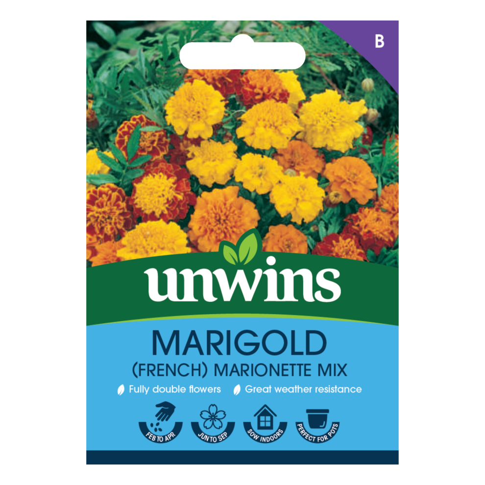 Unwins Marigold (French) Marionette Mix