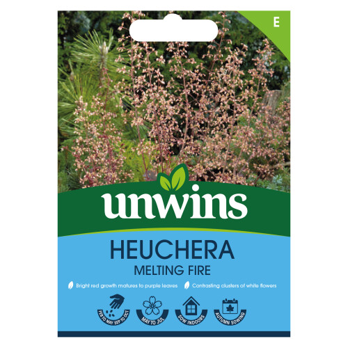 Unwins Heuchera Melting Fire