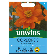 Coreopsis Double The Sun