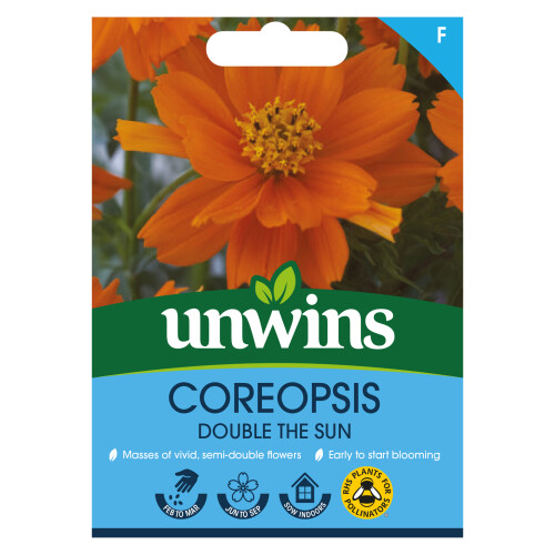 Unwins Coreopsis Double The Sun