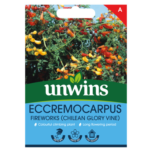 Unwins Eccremocarpus Fireworks