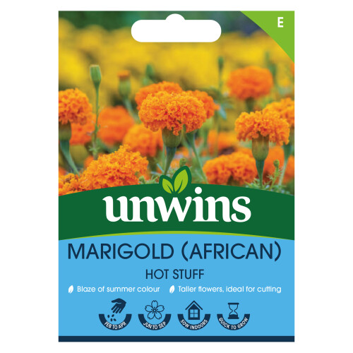 Unwins Marigold (African) Hot Stuff