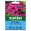 Unwins Petunia Espresso Frappe Rose 1