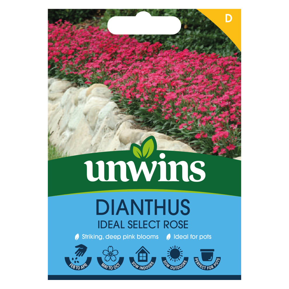 Unwins Dianthus Ideal Select Rose