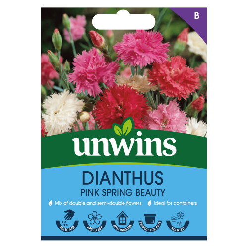 Unwins Dianthus Pink Spring Beauty