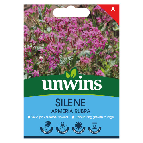 Unwins Silene Armeria Rubra