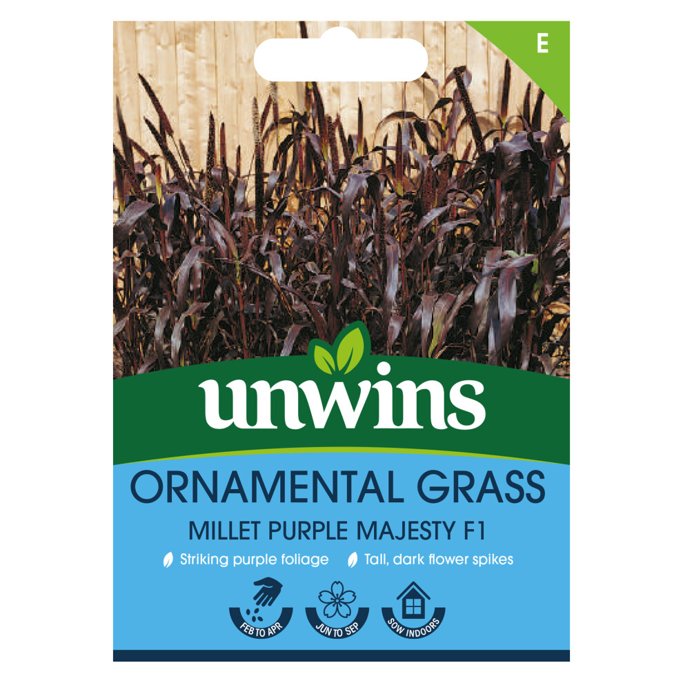 Unwins Ornamental Grass Millet Majesty F1 Purple