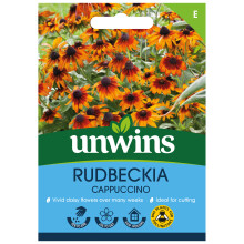 Rudbeckia Cappuccino