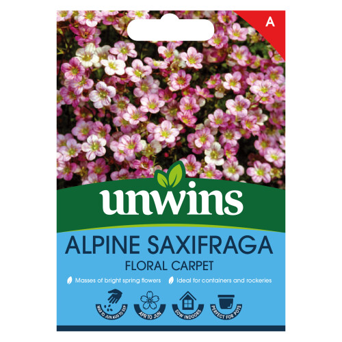 Unwins Alpine Saxifraga Floral Carpet