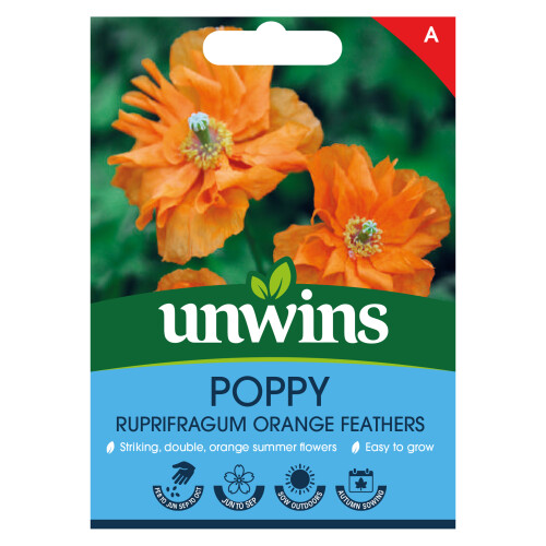 Unwins Poppy Orange Feathers
