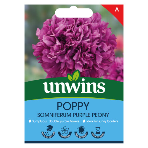 Unwins Poppy Purple Peony