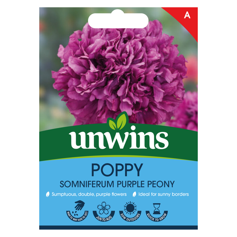 Unwins Poppy Peony Purple