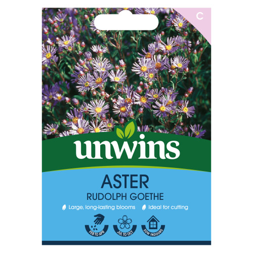 Unwins Aster Rudolph Goethe