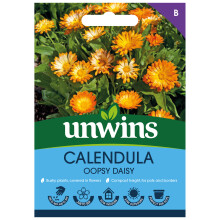Calendula Oopsy Daisy