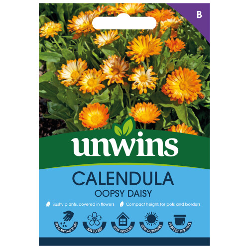 Unwins Calendula Oopsy Daisy