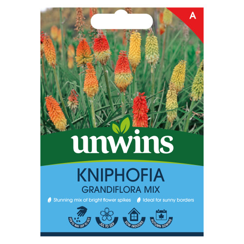 Unwins Kniphofia Grandiflora Mix