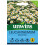 Unwins Leucanthemum Madonna 1