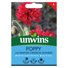 Poppy Crimson Feathers