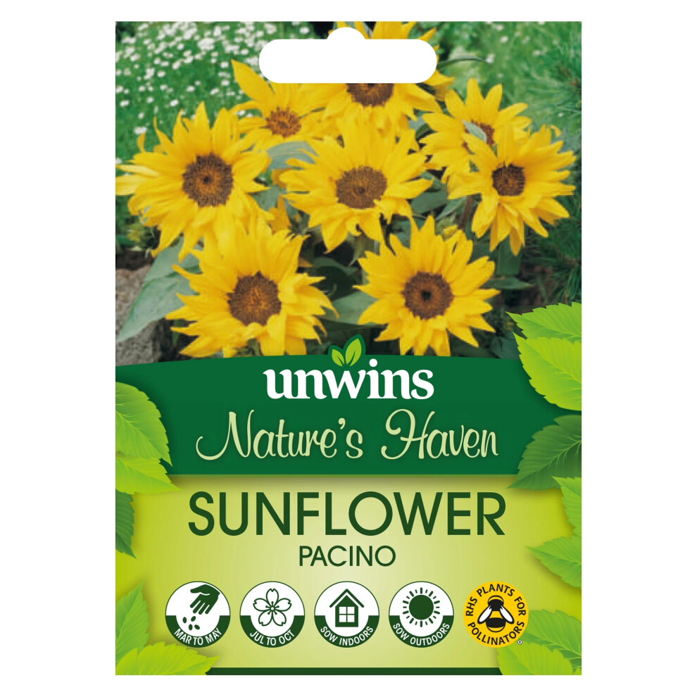 Unwins Nh Sunflower Pacinoflower