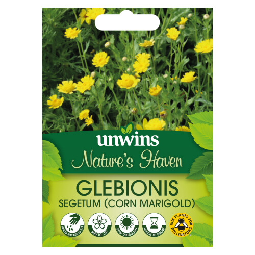 Unwins NH Corn Marigold