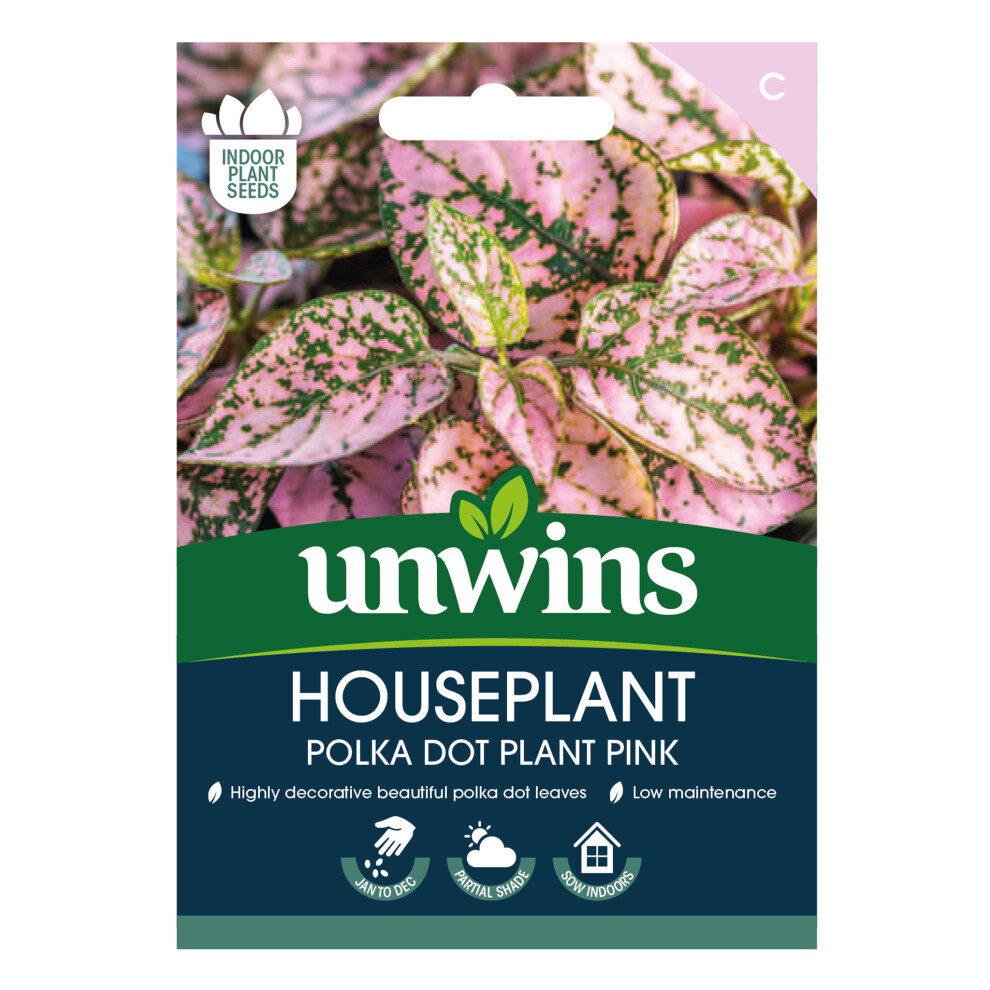 Unwins Houseplant Hypoestes Polka Dot Plant Pink