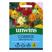 Cosmos Brightness Mix