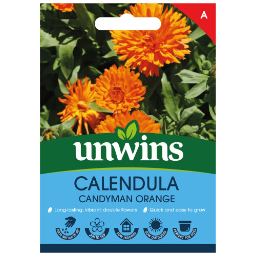 Unwins Calendula Candyman Orange