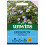Unwins Erigeron Profusion 1