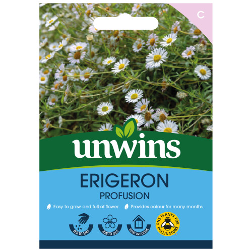 Unwins Erigeron Profusion