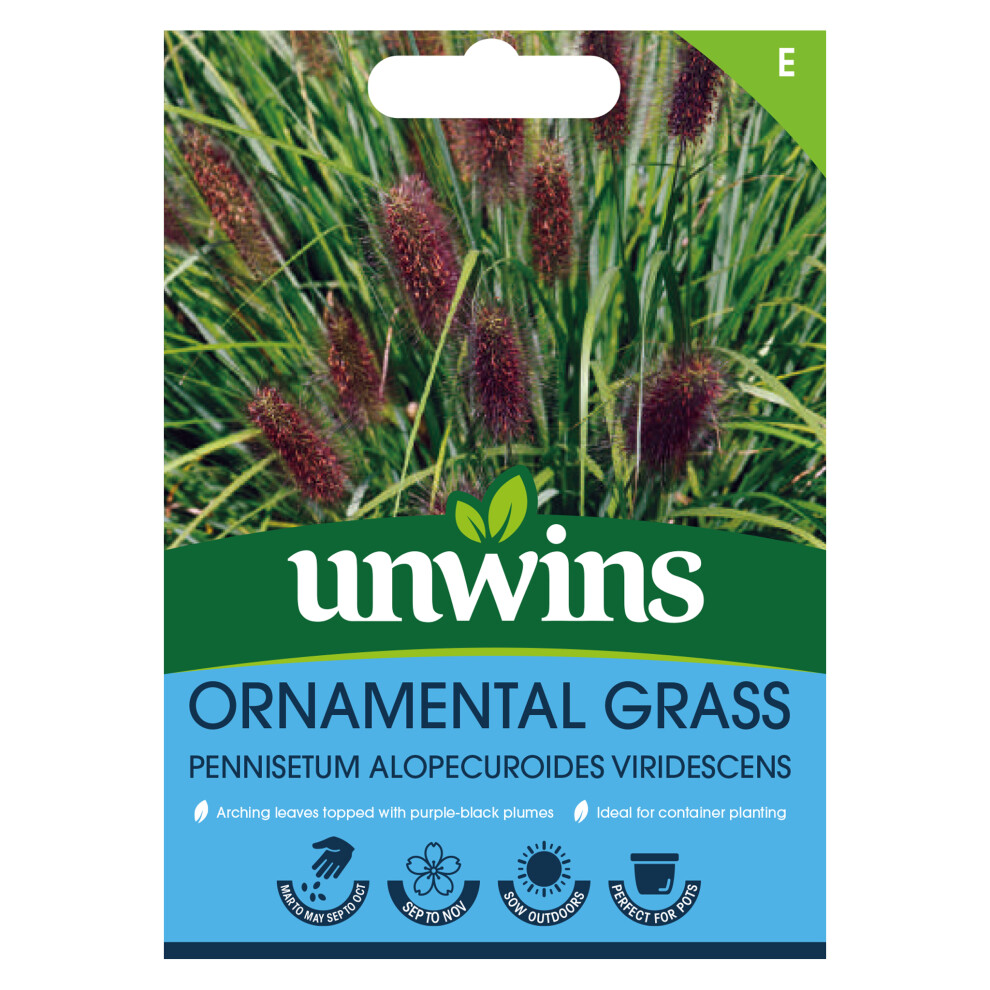 Unwins Ornamental Grass Pennisetum Alopecuroides Purple