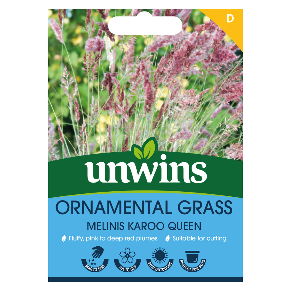 Unwins Ornamental Grass Melinis Karoo Queen Pink/Red